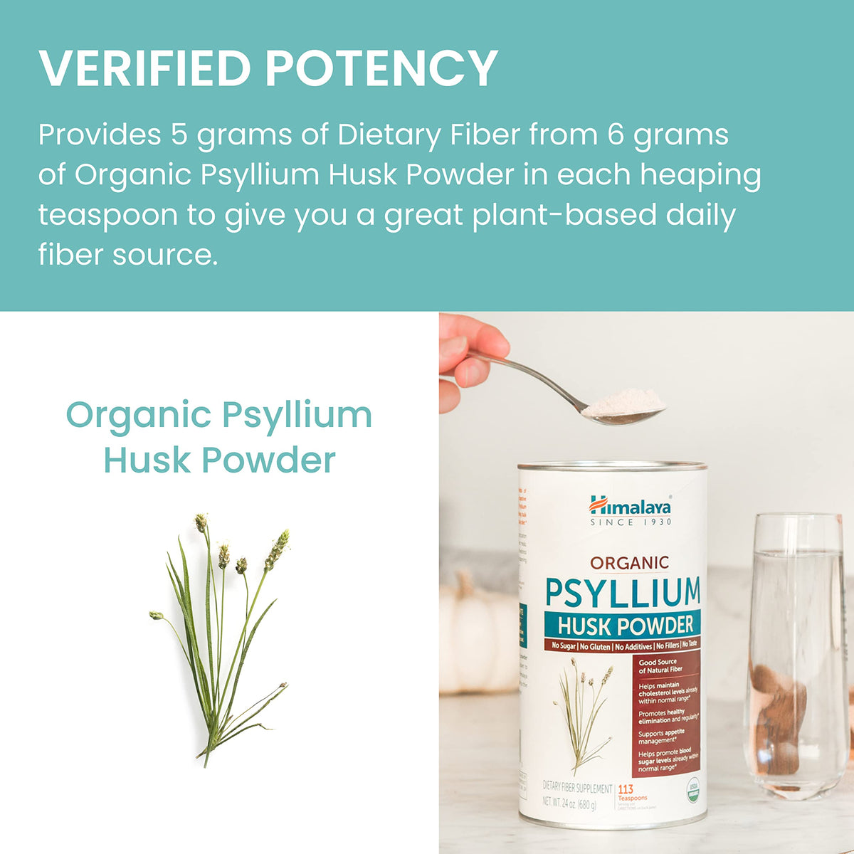 Himalaya Poudre de Psyllium Bio 24 oz avec ingrédients