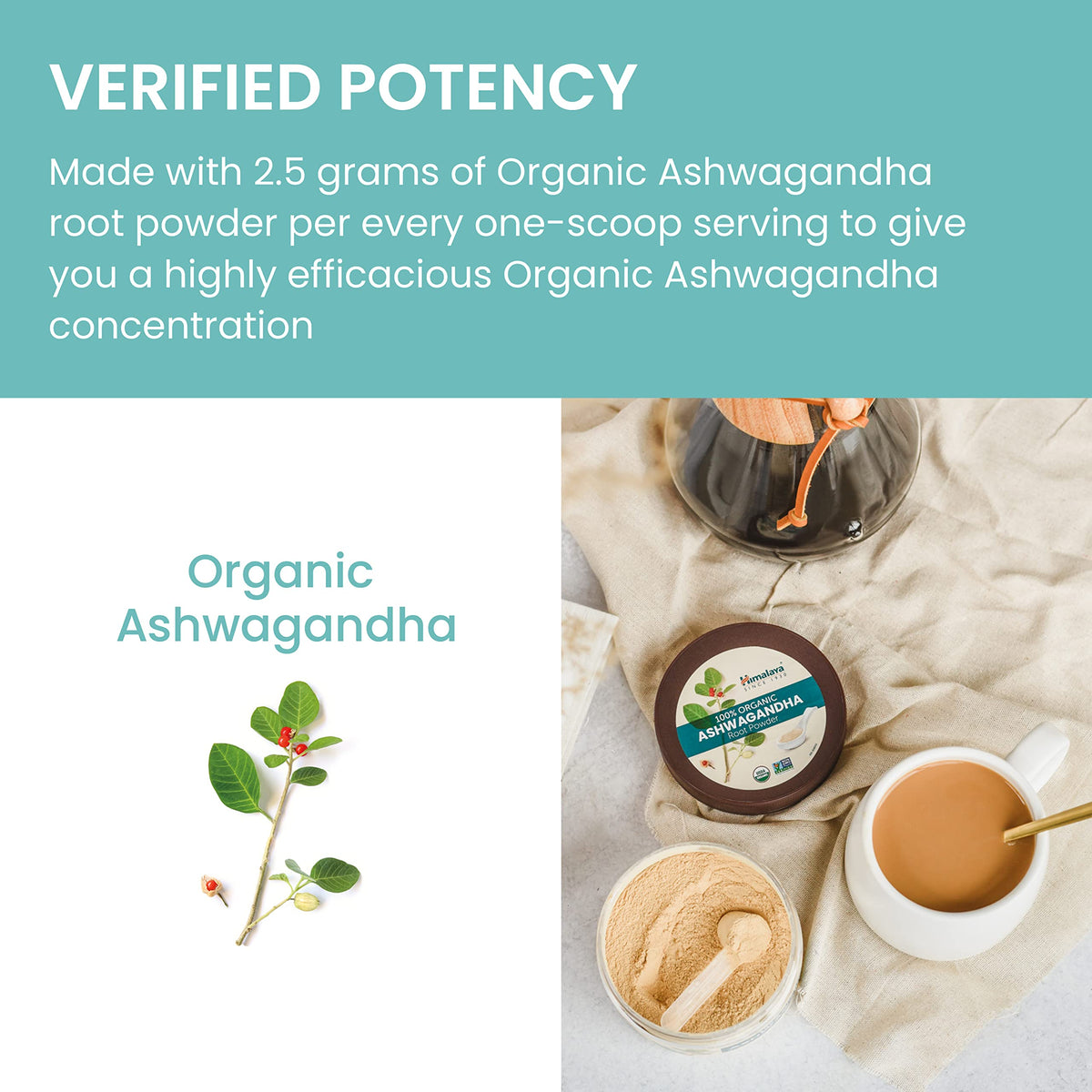 Himalaya Poudre de Racine d'Ashwagandha 181g pot ouvert