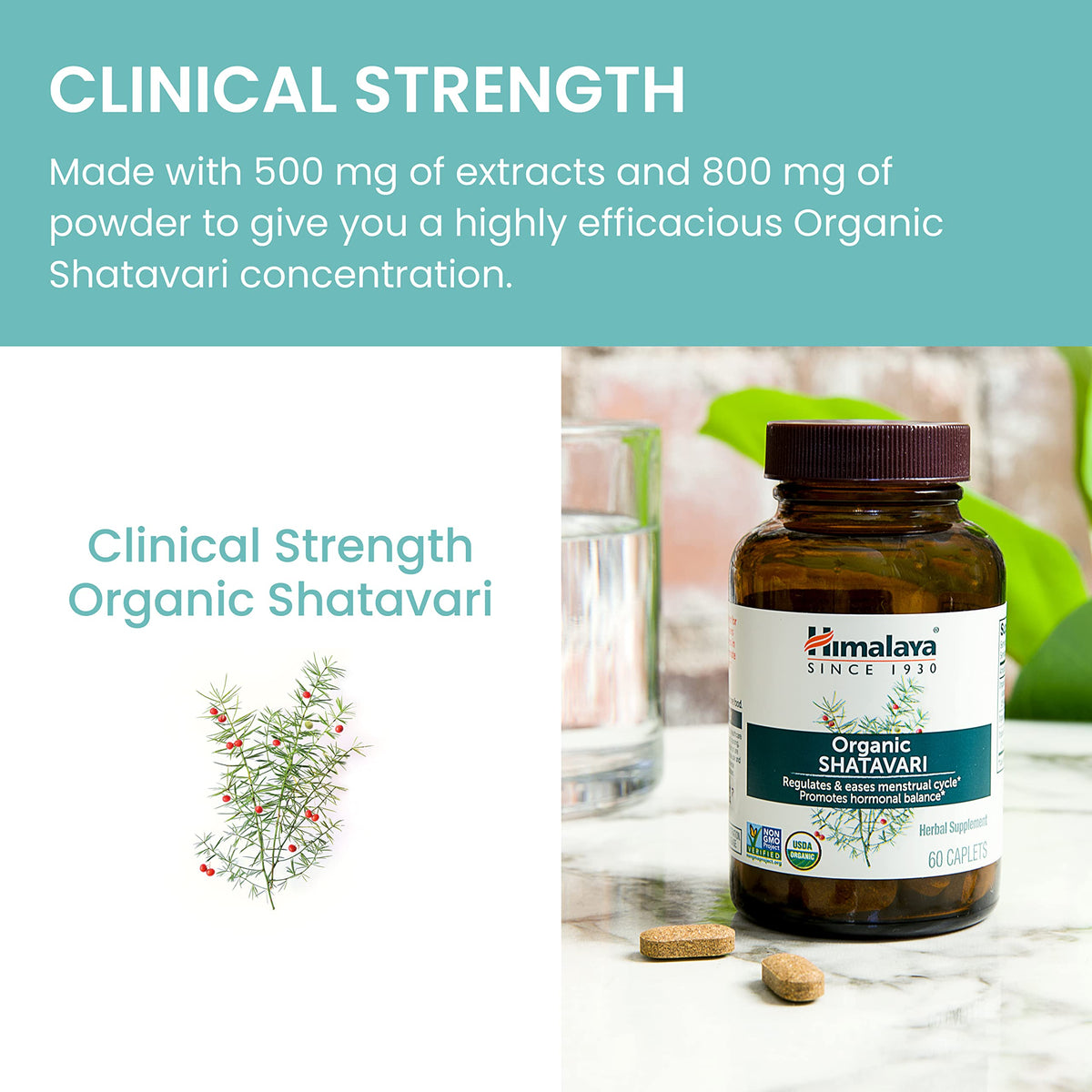Himalaya Shatavari Bio 1300 mg supplement facts