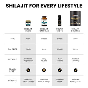 Himalaya Shilajit Résine avec cuillère pour dosage