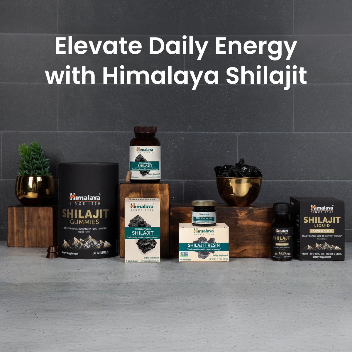 Himalaya Shilajit Résine entourée de plantes
