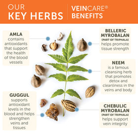 Himalaya VeinCare 300 mg 60 capsules avec des herbes ayurvédiques en arrière-plan