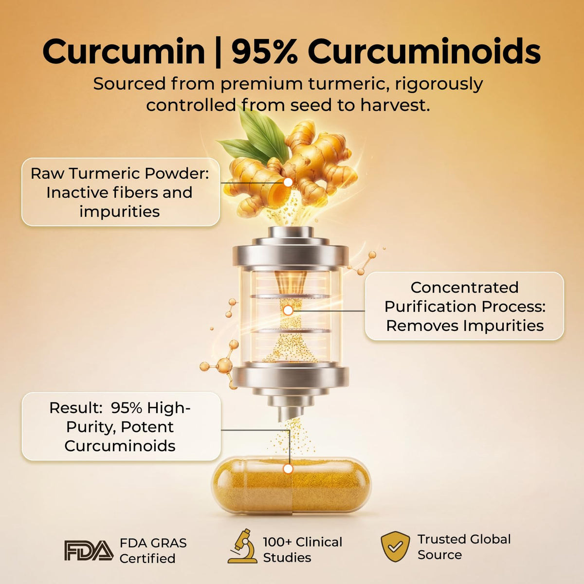 HojaSana Curcuma 500mg en gros plan sur la capsule