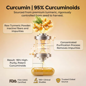 HojaSana Curcuma 500mg en gros plan sur la capsule