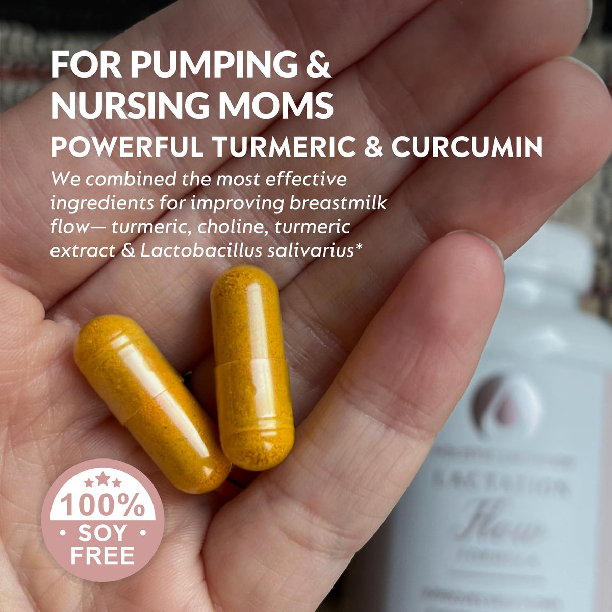 Holistic Lactation Formule de Soutien à la Lactation, étiquette avec ingrédients