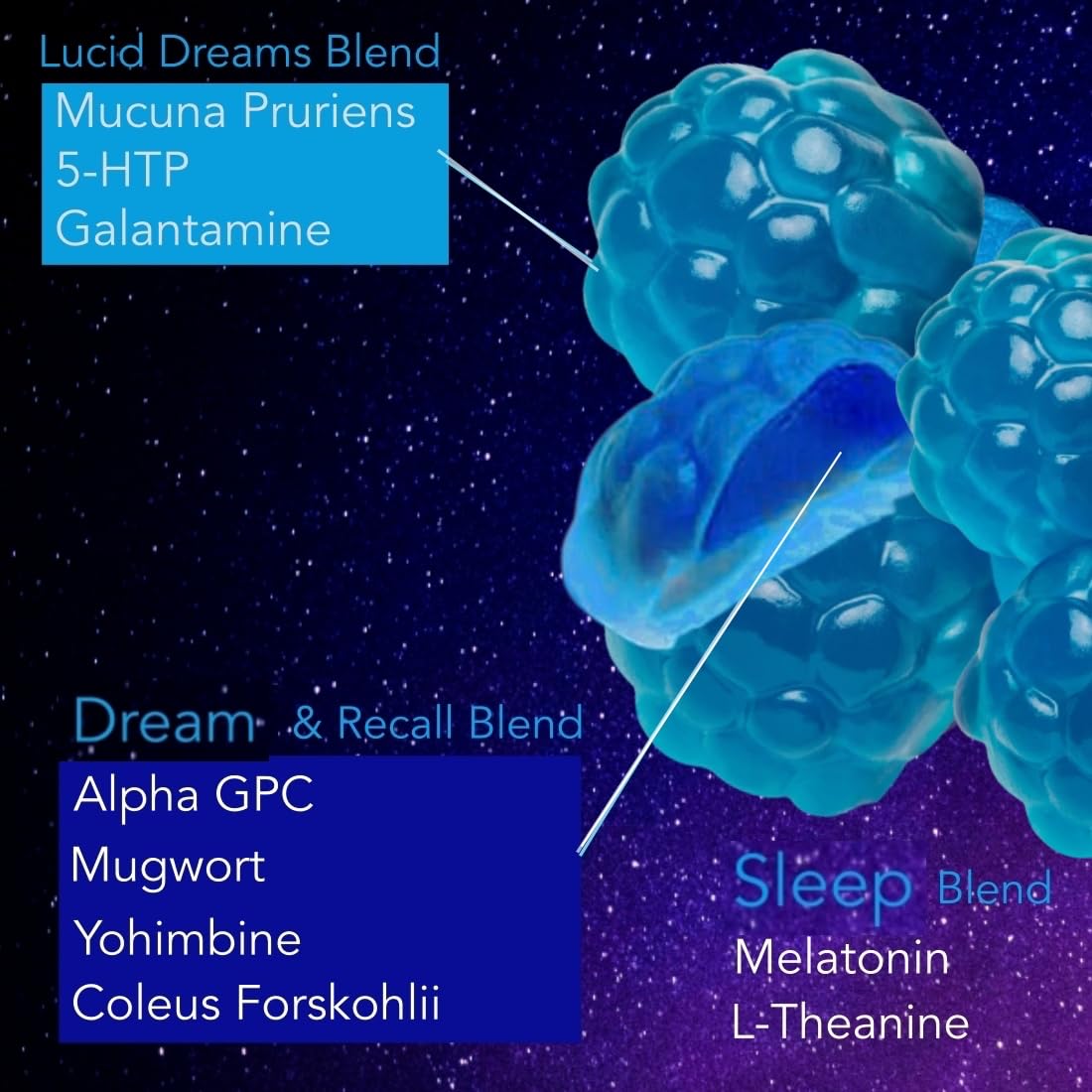 Holistic MD Gummies de Sommeil 60 ct gummies avec mélange liquide