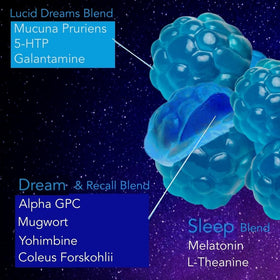 Holistic MD Gummies de Sommeil 60 ct gummies avec mélange liquide