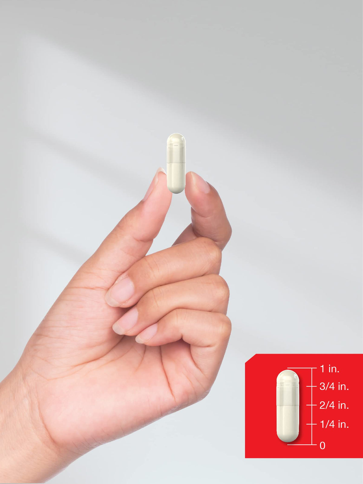 Horbäach Acides Aminés Essentiels capsules sur fond blanc