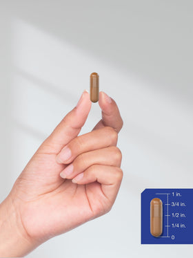 Horbäach Alpha GPC 600mg capsules montrant l'absence d'additifs artificiels