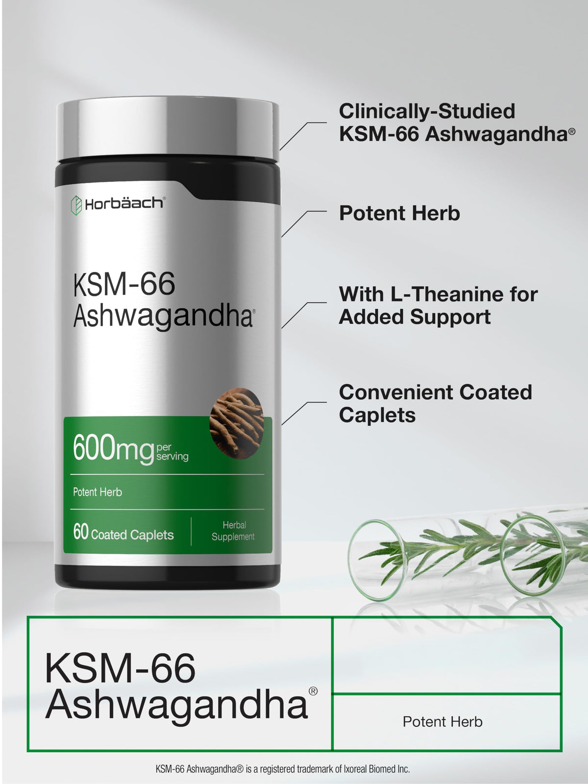 Horbäach Ashwagandha KSM-66 comprimés dans une main