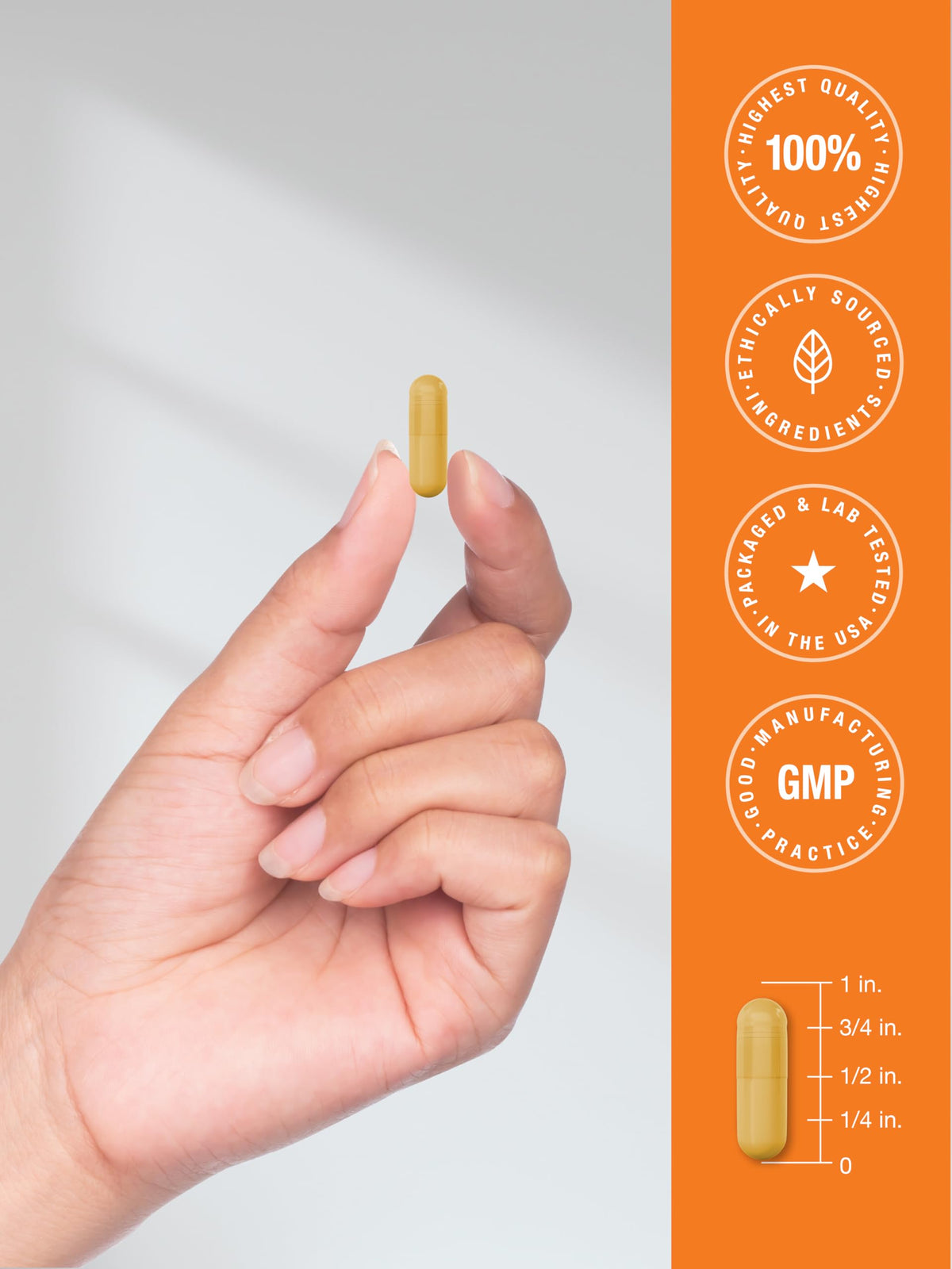 Horbäach B-100 Complex capsules prises avec un verre d'eau