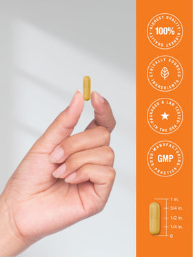 Horbäach B-100 Complex capsules prises avec un verre d'eau