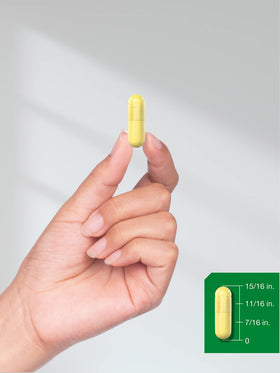 Horbäach Berbérine HCL 500mg emballage et positionnement