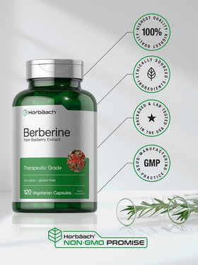 Horbäach Berbérine HCL 500mg vue latérale