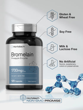 Horbäach Bromélaïne 120 capsules vue arrière