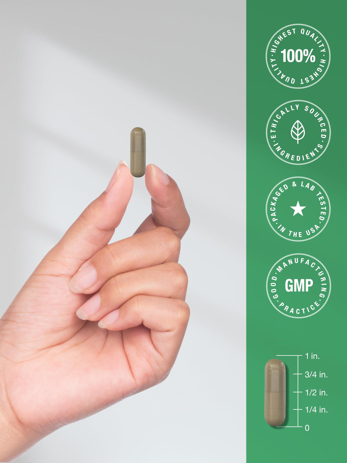 Horbäach Cannelle 250 Capsules avec des capsules en dehors de la bouteille