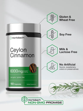 Horbäach Cannelle de Ceylan 150 capsules ouvertes montrant les gélules