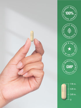 Horbäach Cannelle de Ceylan 150 capsules sur une table en bois