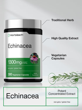 Horbäach capsules d'Echinacea dans un environnement naturel