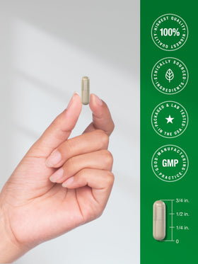 Horbäach capsules d'Echinacea, vue de dessus avec un fond clair