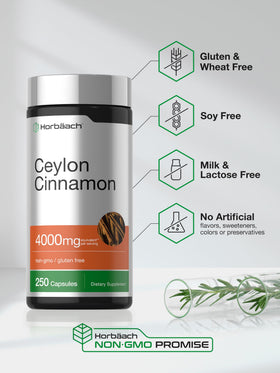 Horbäach Capsules de Cannelle de Ceylan 250 Comprimés sur fond blanc
