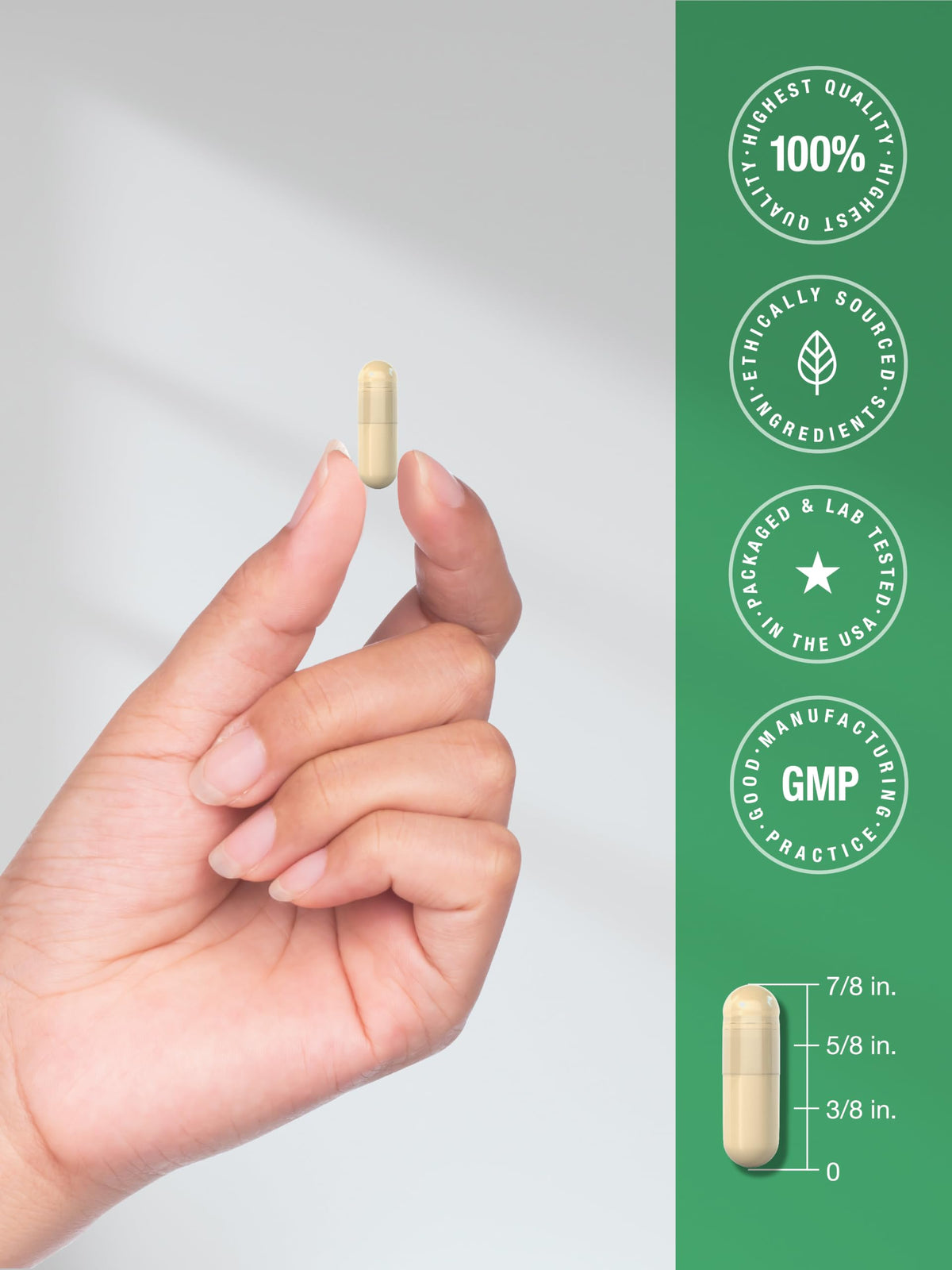Horbäach Capsules de Cannelle de Ceylan au milieu d'autres compléments