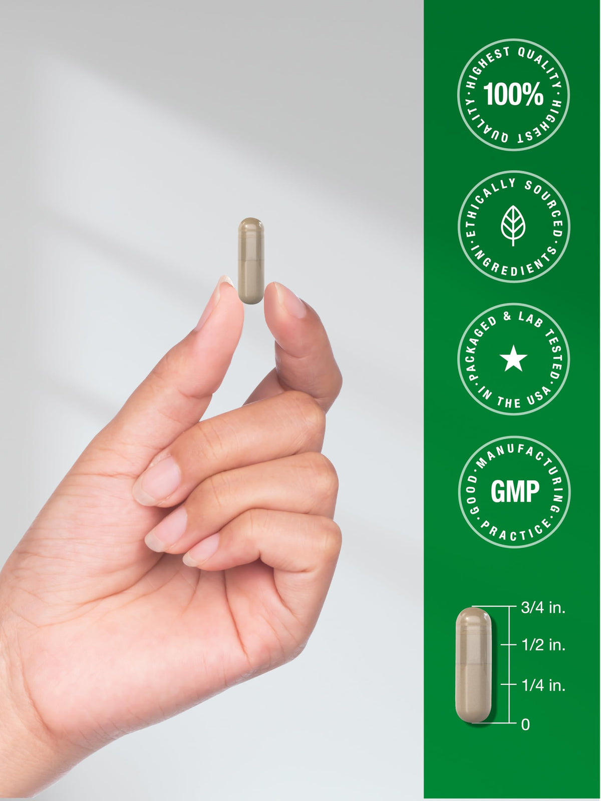 Horbäach Capsules de Rhodiola Rosea 180 Comp. taille des capsules
