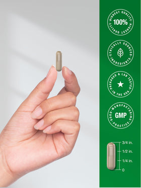 Horbäach Capsules de Rhodiola Rosea 180 Comp. taille des capsules