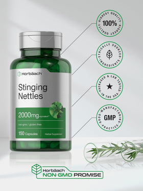 Horbäach Capsules Ortie 150 unités avec des herbes autour