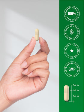 Horbäach capsules racine de guimauve avec étiquette détaillée