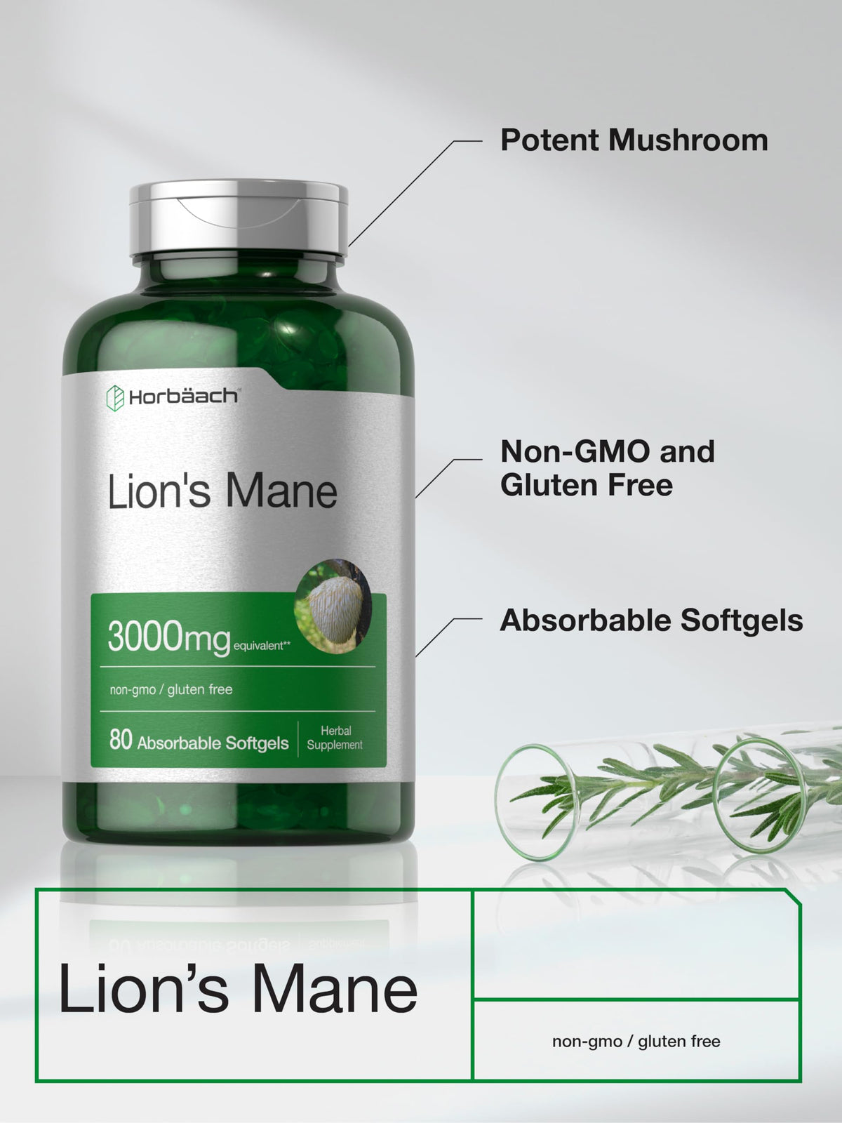 Horbäach champignon Lion's Mane capsules en main