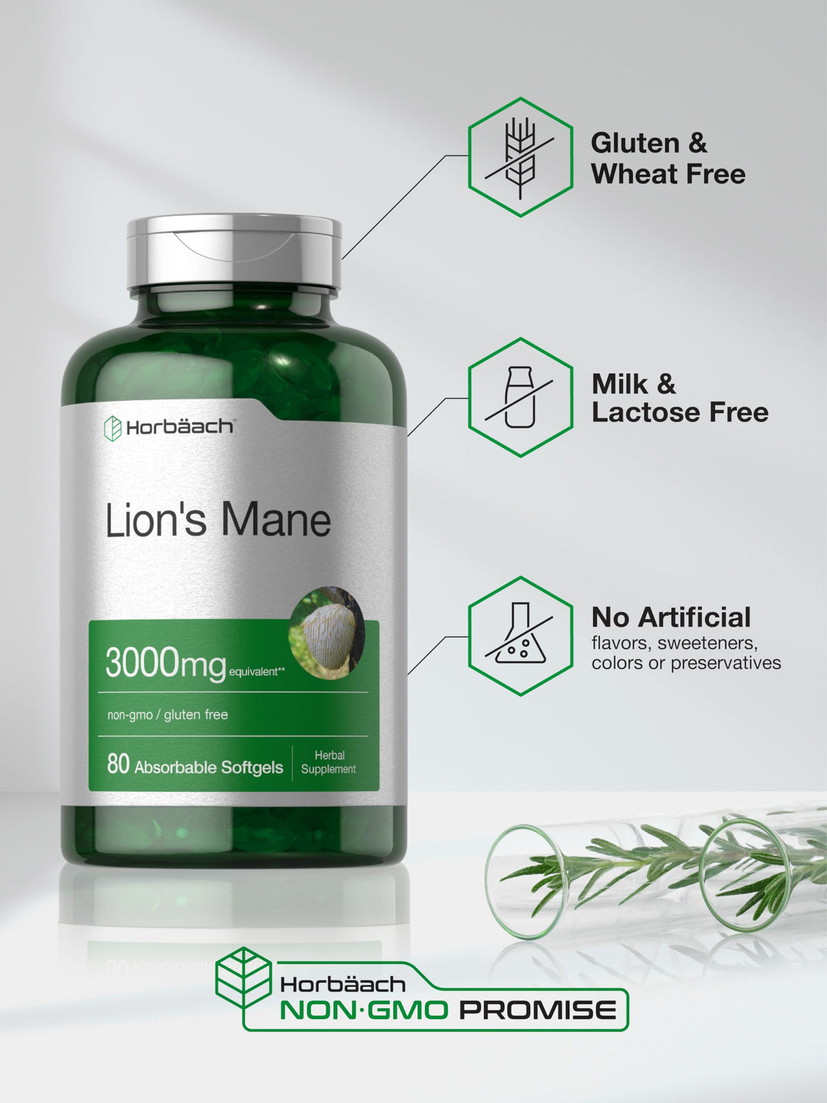 Horbäach champignon Lion's Mane capsules sur une table