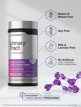 Horbäach Complément Alimentaire Santé Urinaire Femme 90 Capsules Végétales ouvertes