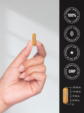 Horbäach Curcuma Curcumine 150 capsules avec des plantes médicinales