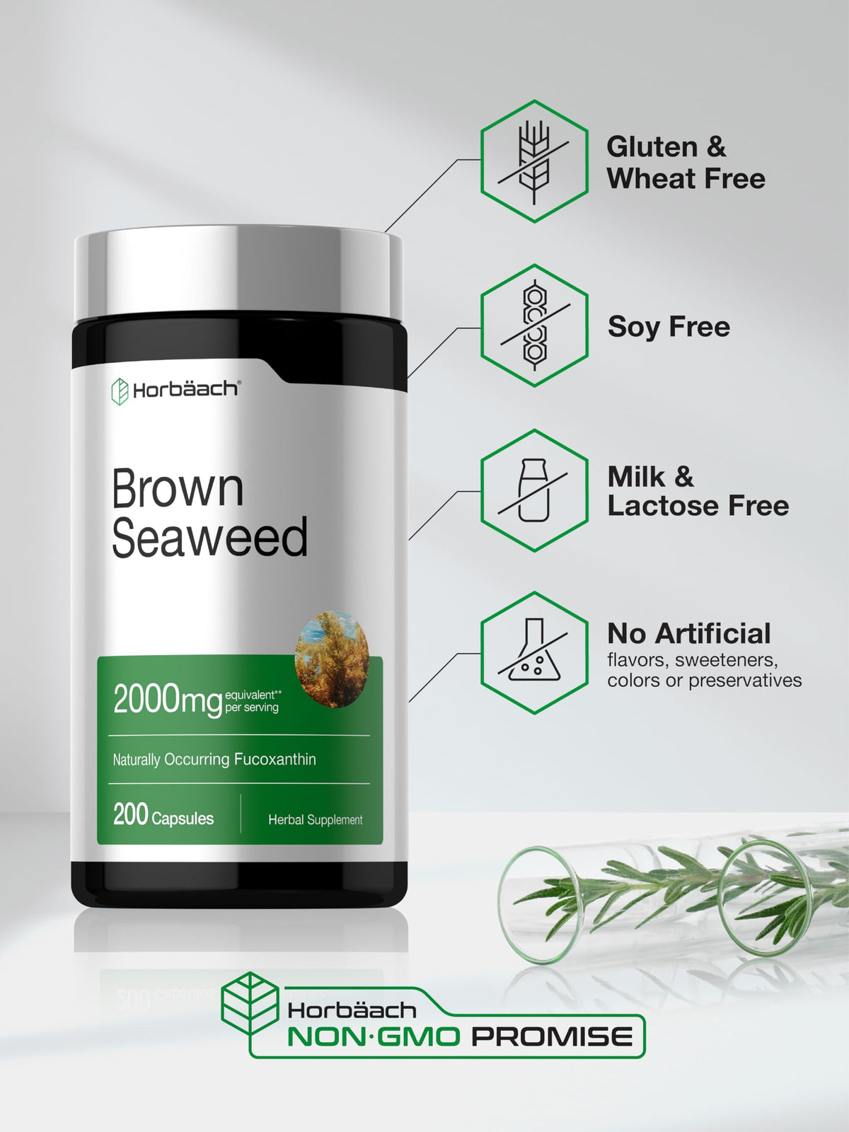 Horbäach Extrait d'Algue Brune Capsules dosage recommandé