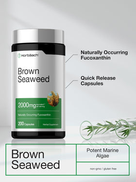 Horbäach Extrait d'Algue Brune Capsules présentation