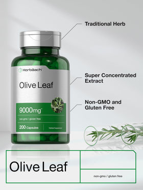 Horbäach extrait de feuille d'olivier capsules sur fond blanc
