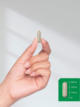 Horbäach Extrait de Saw Palmetto - capsules prêtes à l'emploi