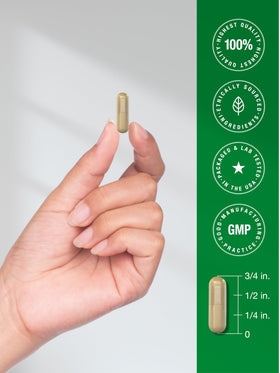 Horbäach extrait de thé vert capsules en main
