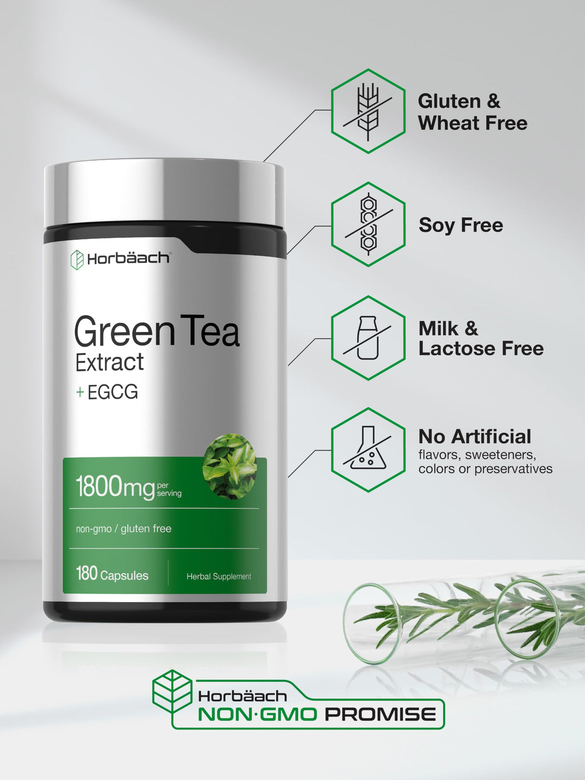 Horbäach extrait de thé vert EGCG capsules avec ingrédients