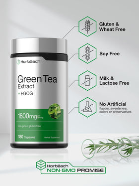 Horbäach extrait de thé vert EGCG capsules avec ingrédients
