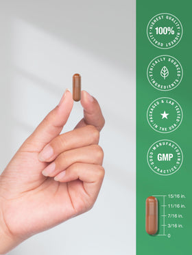 Horbäach extrait de thé vert EGCG capsules sur fond blanc