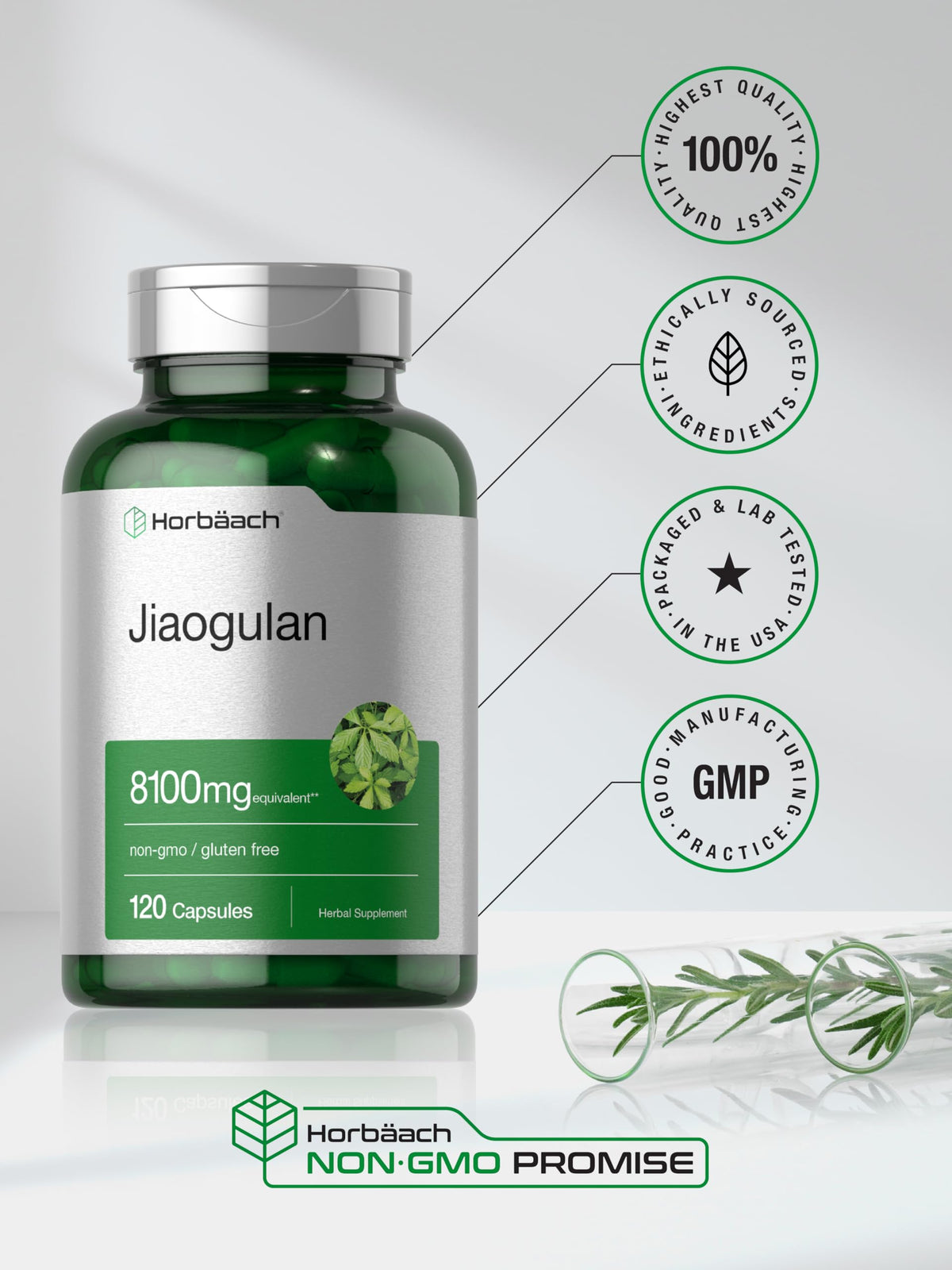 Horbäach Jiaogulan capsules ouvertes avec gélules visibles