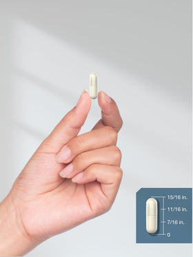 Horbäach Magnésium Chélaté 360mg 240 Capsules avec d'autres compléments
