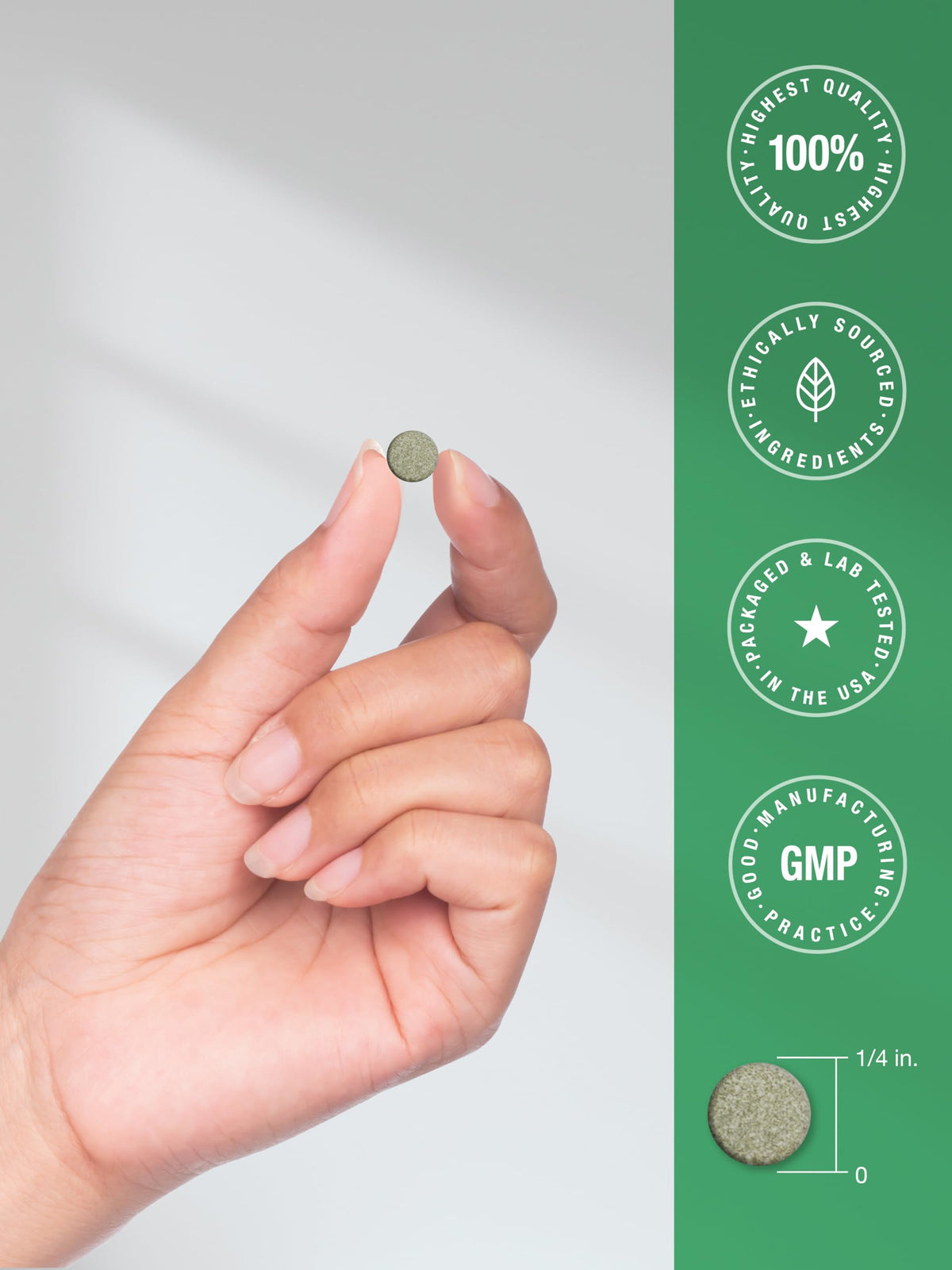 Horbäach pilules de chlorophylle montrant la taille des comprimés