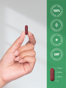Horbäach Poudre de Betterave en Gélules, gélules dans une main