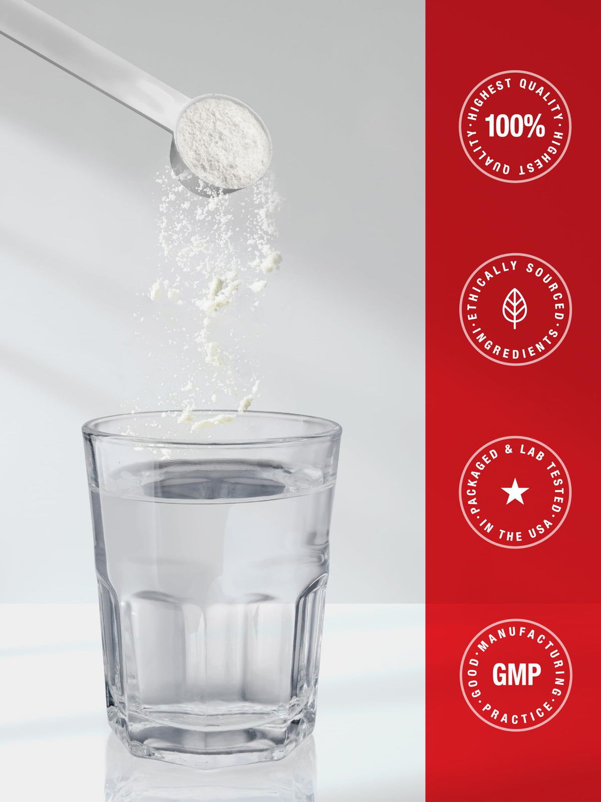 Horbäach Poudre de Créatine Monohydrate 1152g avec un shaker de sport