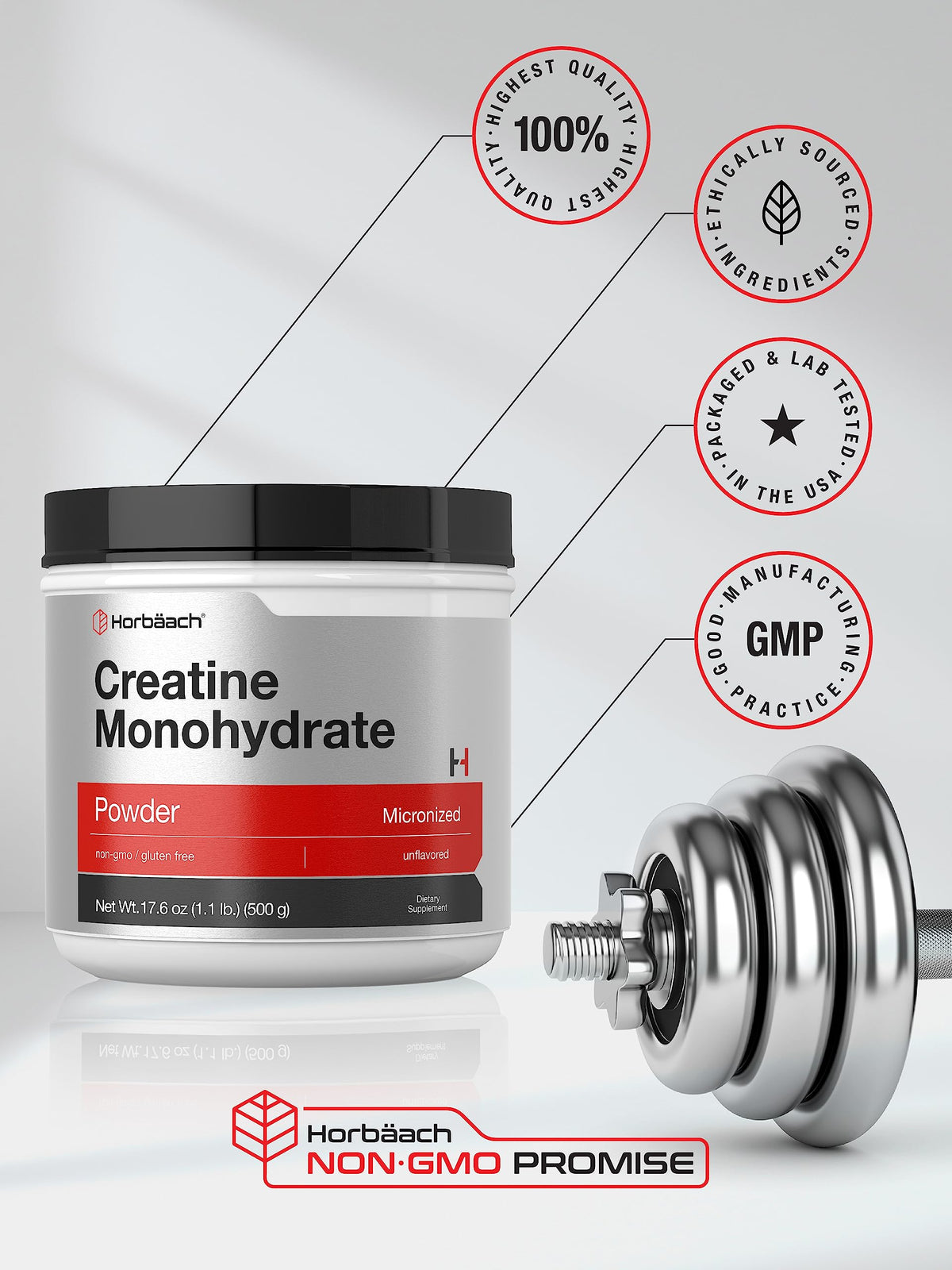 Horbäach Poudre de Créatine Monohydrate 621g dans une cuillère
