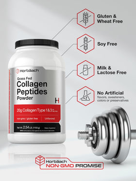 Horbäach Poudres de Peptides de Collagène 40 oz, utilisation dans une recette
