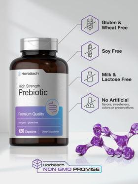 Horbäach prébiotique en poudre 120 capsules en main